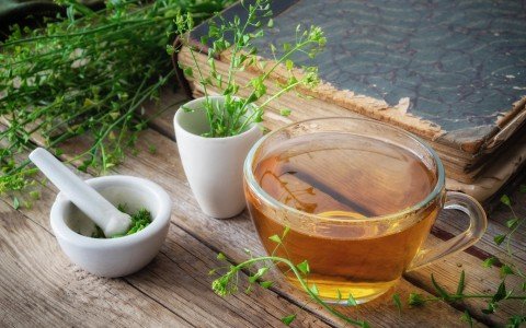 Borsa pastore pianta usi e benefici Borsa pastore pianta usi e benefici