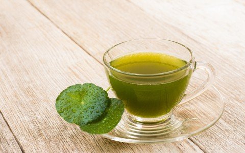 Centella pianta proprietà e usi Centella pianta proprietà e usi