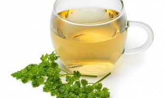 Il cerfoglio: una guida completa ai suoi benefici salutari e usi culinari