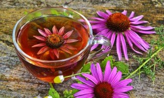 Echinacea: i benefici e gli usi di questa potente erba
