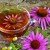 Echinacea: i benefici e gli usi di questa potente erba