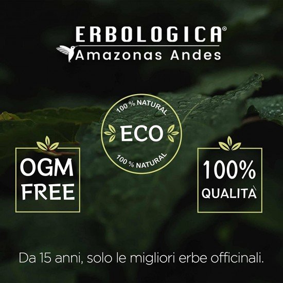 Tisana alle erbe per la prostata Tisana alle erbe per la prostata