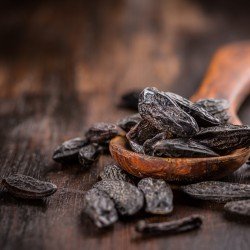 Fava Tonka semi Fava Tonka semi