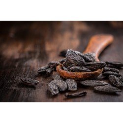 Fava Tonka semi Fava Tonka semi