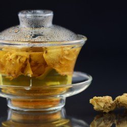 Fico d'India fiori Fico d'India fiori