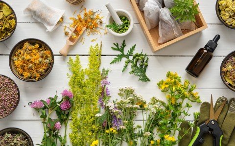 Tisane di Erbe per i problemi alla prostata Tisane di Erbe per i problemi alla prostata