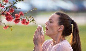 Il Sambuco: il segreto contro la rinite allergica in primavera