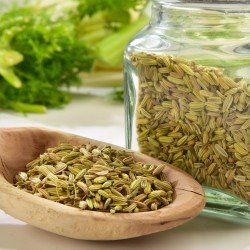 Finocchio semi selvatici tisana Finocchio semi selvatici tisana