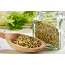 Finocchio semi selvatici tisana