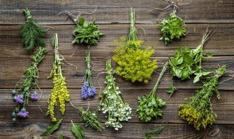 10 tisane alle erbe che aiutano a eliminare le tossine e migliorare la salute