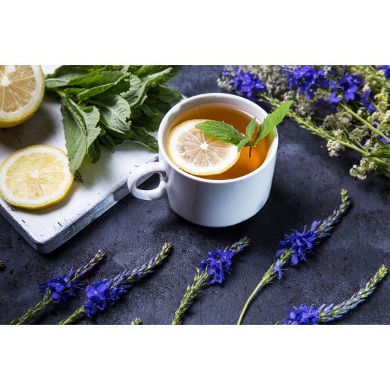 Veronica officinale tisana Veronica officinale tisana