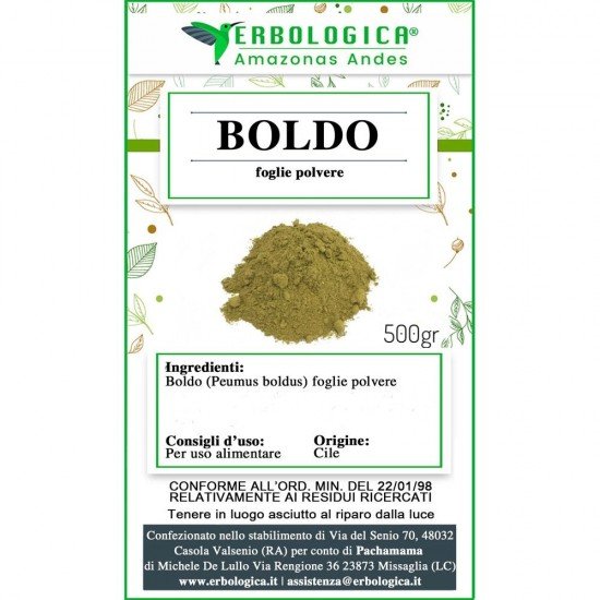 Boldo foglie in polvere Boldo foglie in polvere