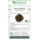 Eucalipto tisana composta Eucalipto tisana composta