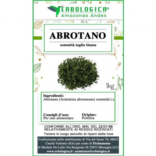 Abrotano sommità taglio tisana Abrotano sommità taglio tisana