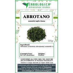 Abrotano sommità taglio tisana Abrotano sommità taglio tisana