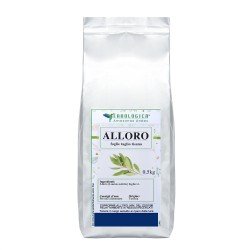 Alloro foglie tisana Alloro foglie tisana