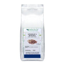 Angelica radice taglio tisana Angelica radice taglio tisana