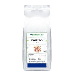 Angelica semi interi tisana Angelica semi interi tisana