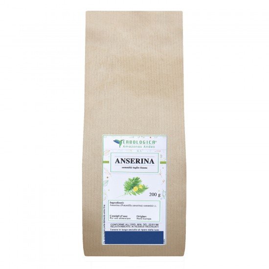 Anserina sommità taglio tisana Anserina sommità taglio tisana