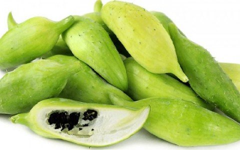 Caigua i suoi benefici per la salute Caigua i suoi benefici per la salute