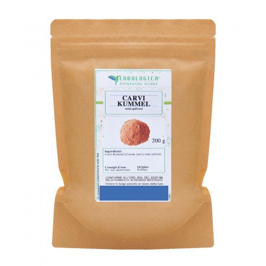 Carvi Kummel semi in polvere Carvi Kummel semi in polvere
