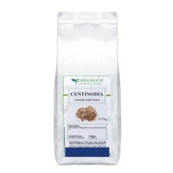 Centinodia pianta tisana Centinodia pianta tisana