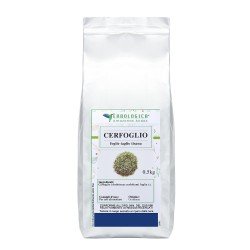 Cerfoglio foglie taglio tisana Cerfoglio foglie taglio tisana