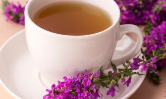 Epilobio e i suoi benefici