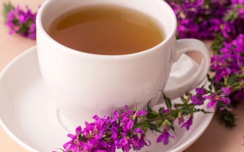 Epilobio e i suoi benefici Epilobio e i suoi benefici