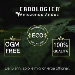 Finocchio estratto in capsule