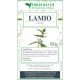 Lamio bianco tisana Lamio bianco tisana