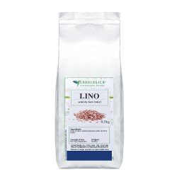 Lino semi interi Lino semi interi