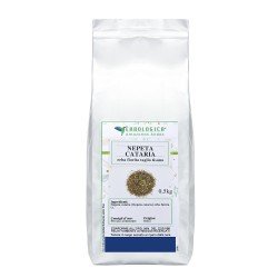 Nepeta Cataria taglio tisana Nepeta Cataria taglio tisana