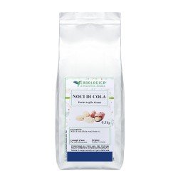 Noci di Cola frutto taglio tisana Noci di Cola frutto taglio tisana