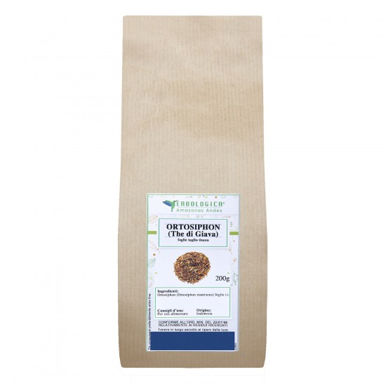 Orthosiphon tisana Orthosiphon tisana