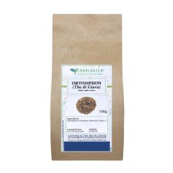 Orthosiphon tisana Orthosiphon tisana