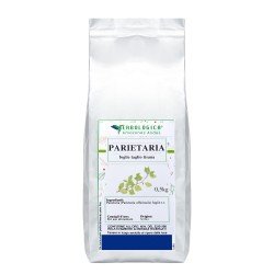 Parietaria foglie taglio tisana 
