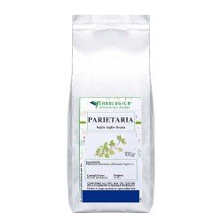 Parietaria foglie taglio tisana 