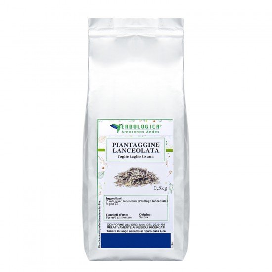 Piantaggine lanceolata foglie taglio tisana Piantaggine lanceolata foglie taglio tisana