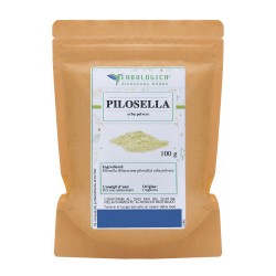 Pilosella pianta polvere 