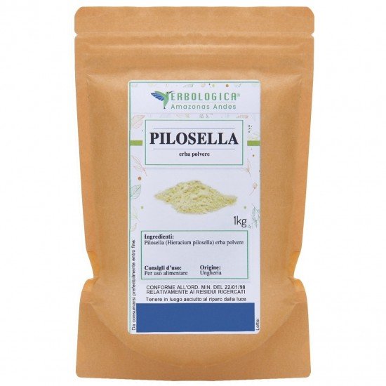 Pilosella pianta polvere Pilosella pianta polvere