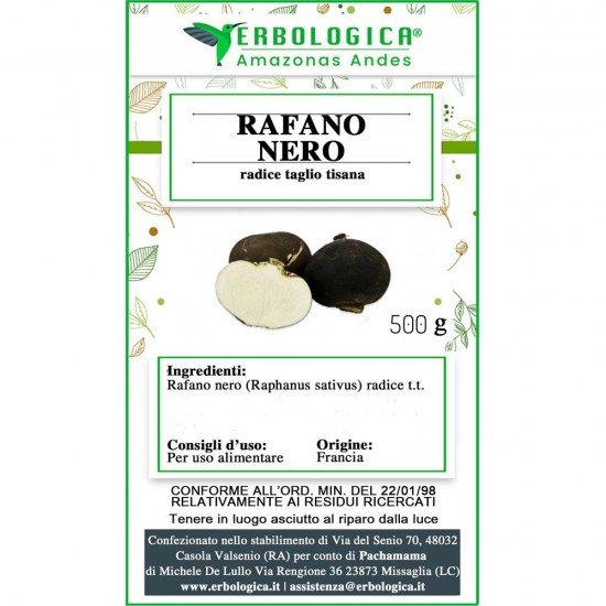 Rafano nero radice Rafano nero radice