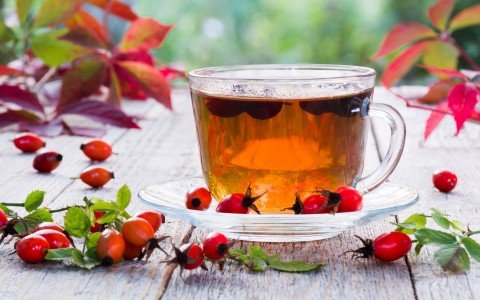 Rosa canina e i suoi benefici Rosa canina e i suoi benefici