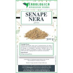 Senape nera polvere spezia 