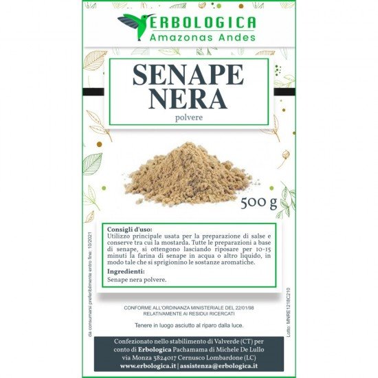 Senape nera polvere spezia Senape nera polvere spezia