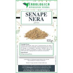 Senape nera polvere spezia 