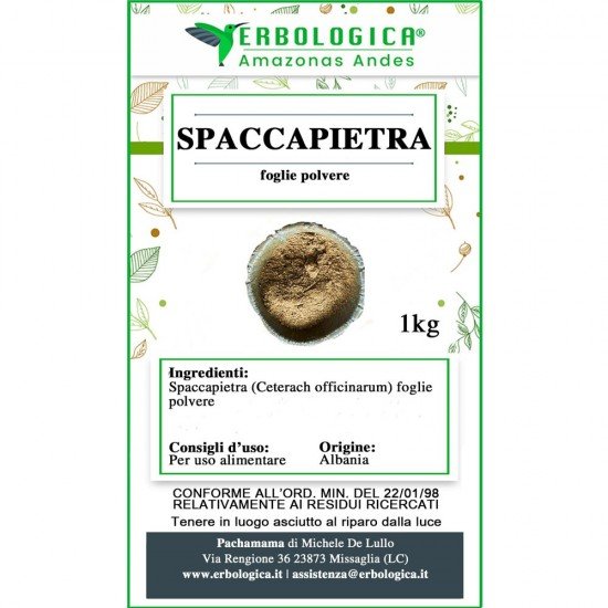 Spaccapietra pianta in polvere Spaccapietra pianta in polvere