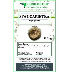 Spaccapietra pianta in polvere Spaccapietra pianta in polvere