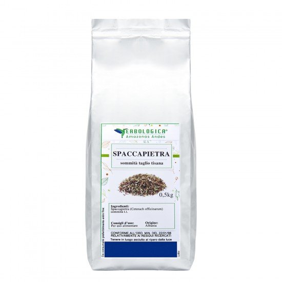 Spaccapietra pianta taglio tisana Spaccapietra pianta taglio tisana