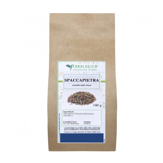 Spaccapietra pianta taglio tisana Spaccapietra pianta taglio tisana